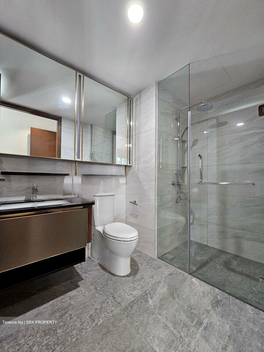 Normanton Park (D5), Apartment #462066421
